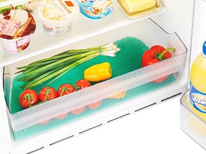 Εικόνα της Αντιμουχλική επιφάνεια για συρτάρια ψυγείου, WENKO
